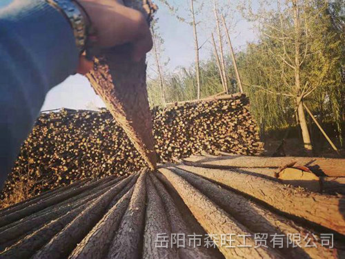 園林撐桿3
